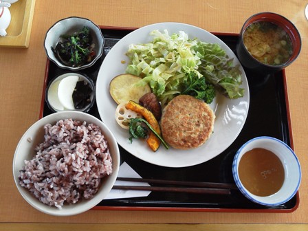 豆腐ハンバーグ定食