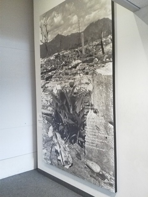 広島県呉市を訪ね、「保険事業適正化」の取り組みを視察